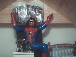 spidy1.bmp