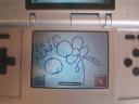 dsflower.bmp