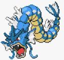 gyaradosplat2.png