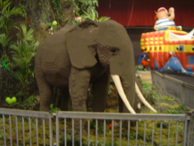 dsc00491.jpg
