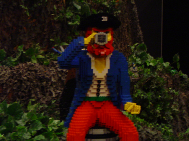 dsc00493.jpg