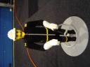 dsc00438.jpg