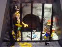 dsc00460.jpg