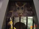 dsc00461.jpg