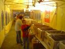 dsc00501.jpg