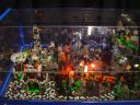 dsc00510.jpg