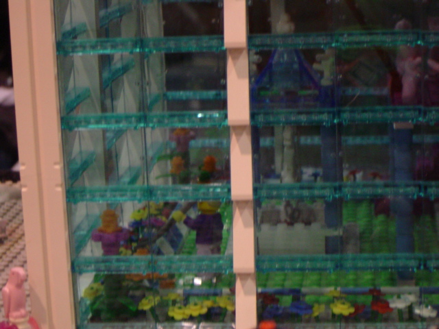 dsc00309.jpg