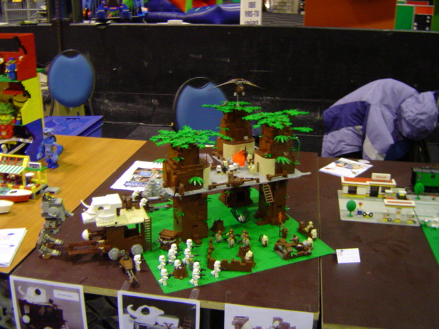 dsc00381.jpg