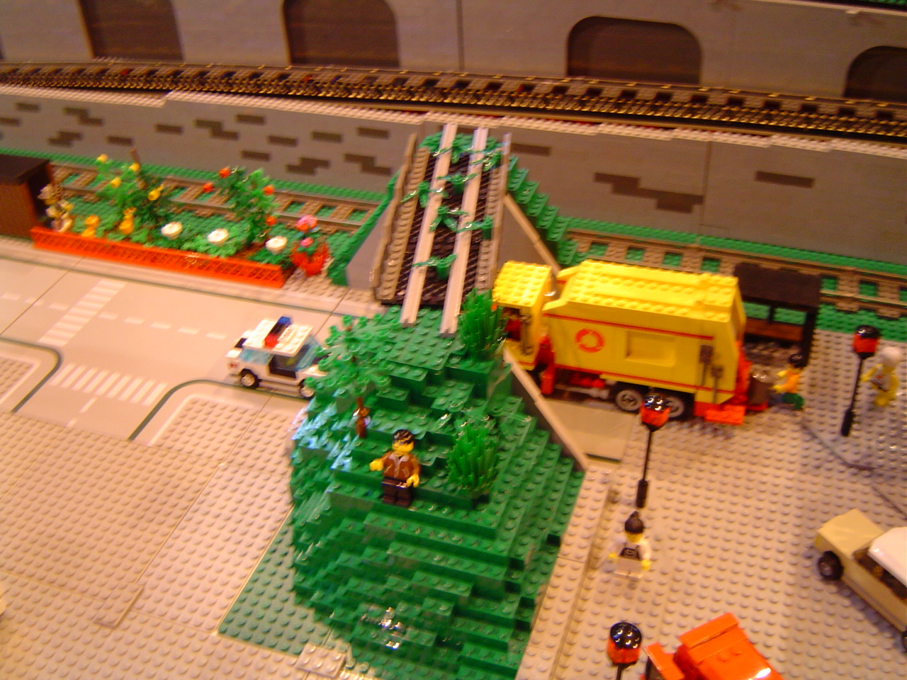 dsc01100.jpg