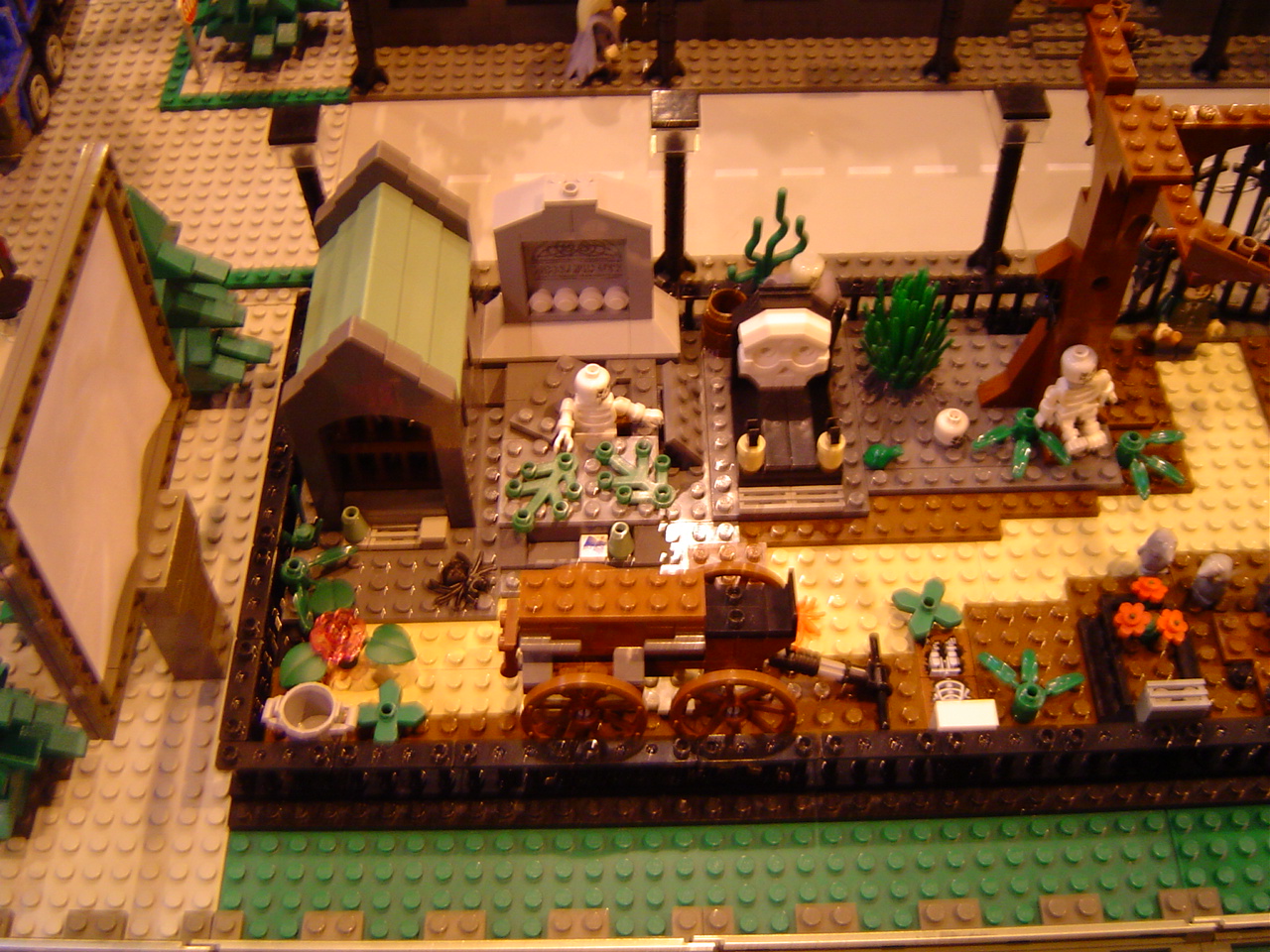 dsc01141.jpg
