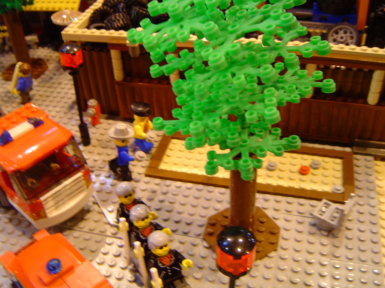 dsc01151.jpg