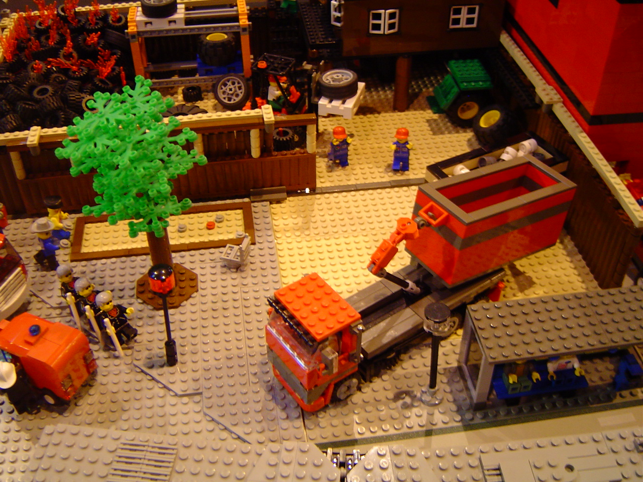 dsc01155.jpg