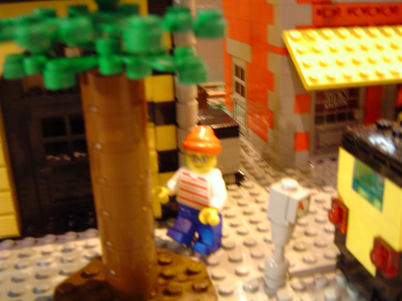 dsc01156.jpg