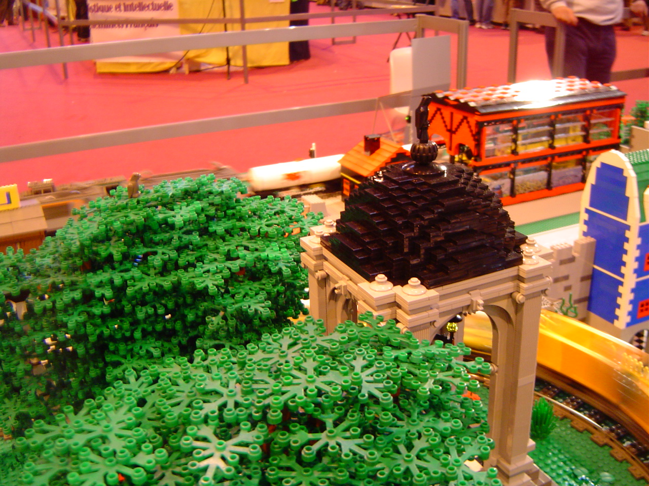 dsc01163.jpg