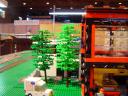 dsc01107.jpg
