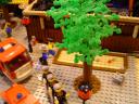 dsc01151.jpg