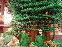 dsc01162.jpg