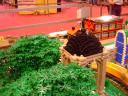 dsc01163.jpg