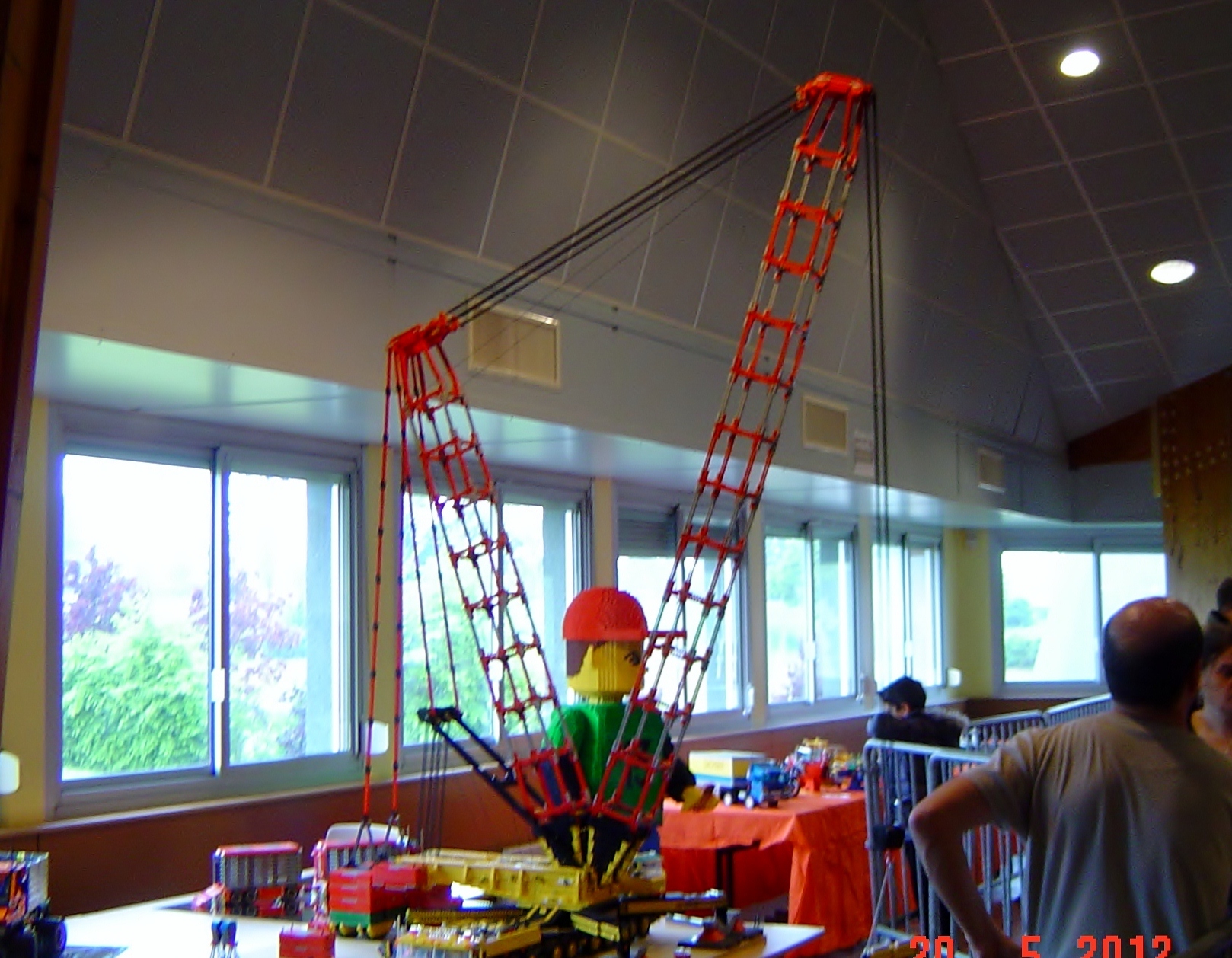 grue_geante.jpg