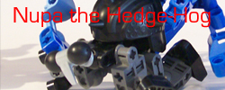 nupa_the_hedge-hog_signature_3.jpg