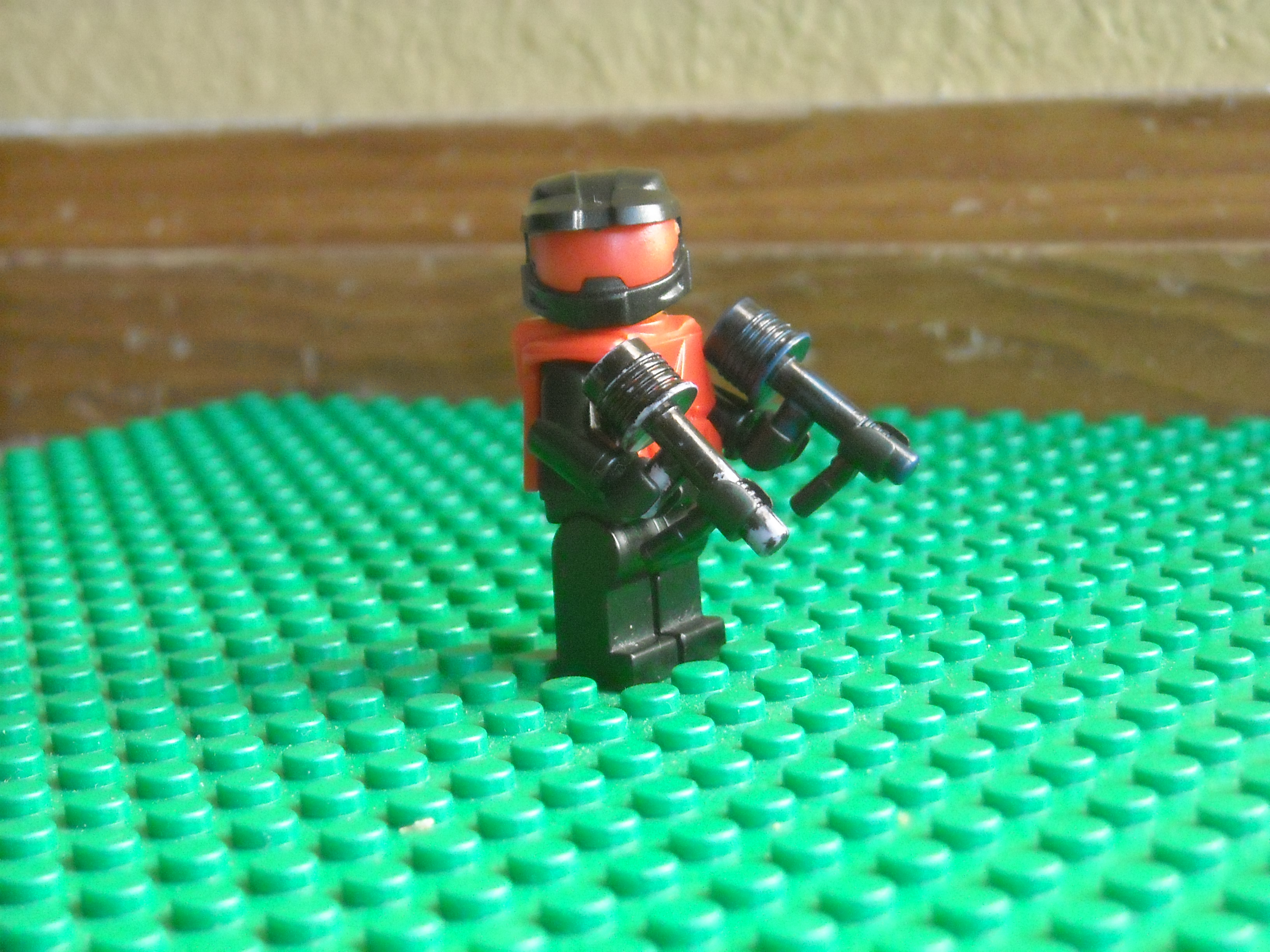 dscn7252.jpg