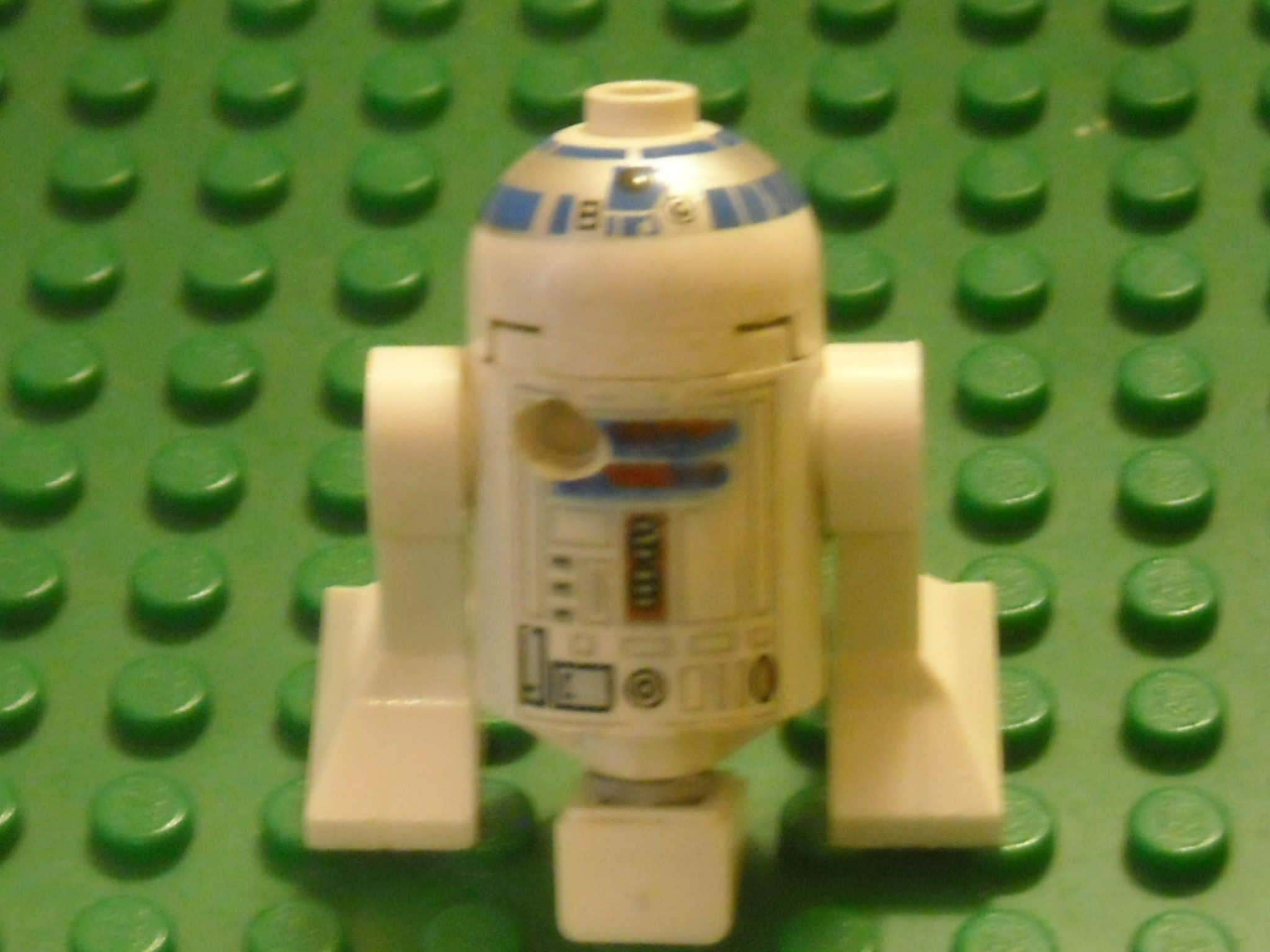 rscn9624.jpg