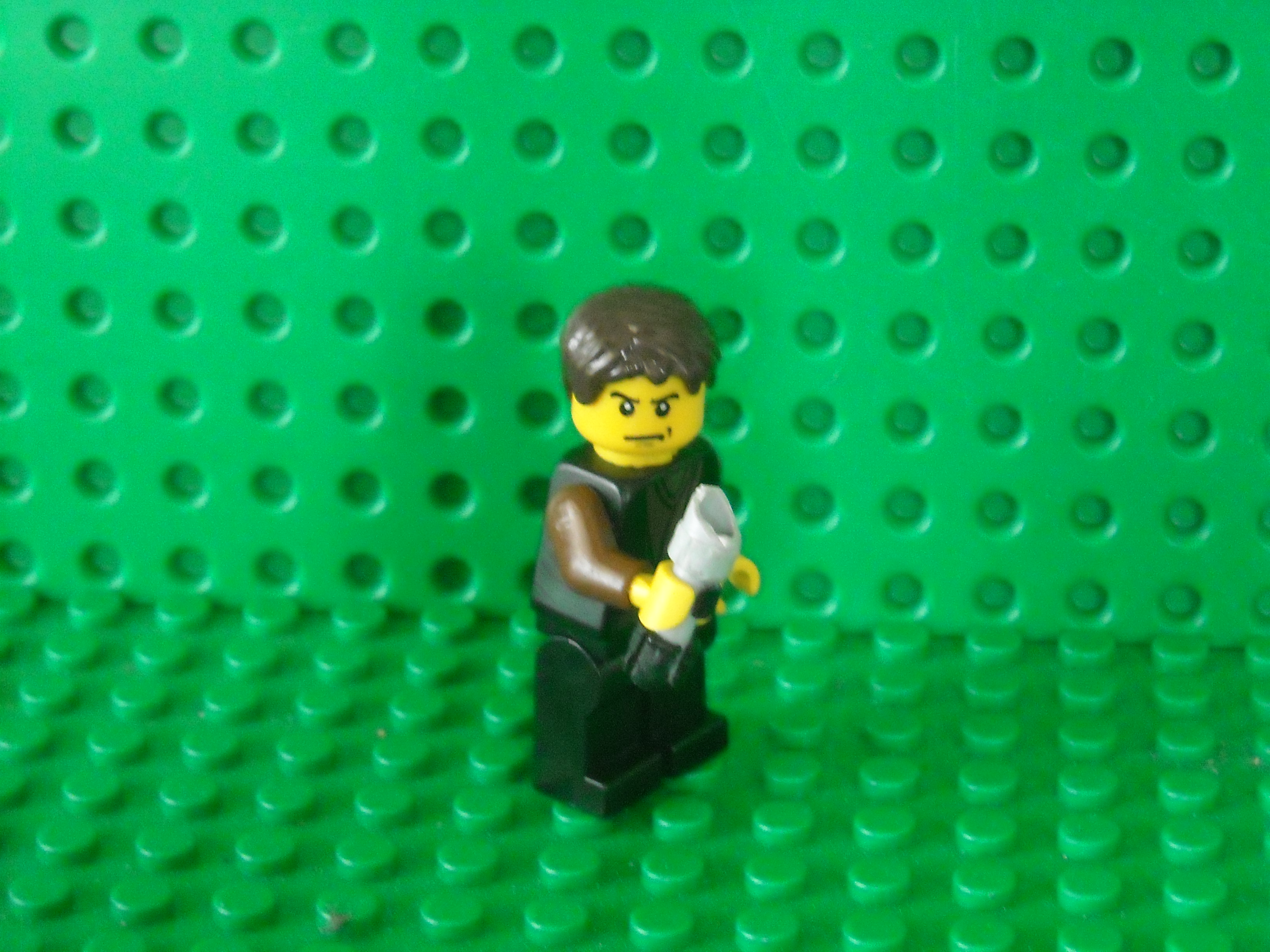 dscn7206.jpg