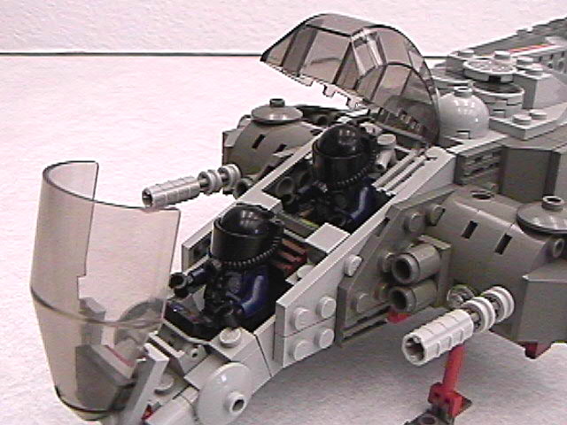 d8.jpg