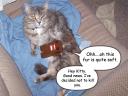 domokunandkitty.jpg