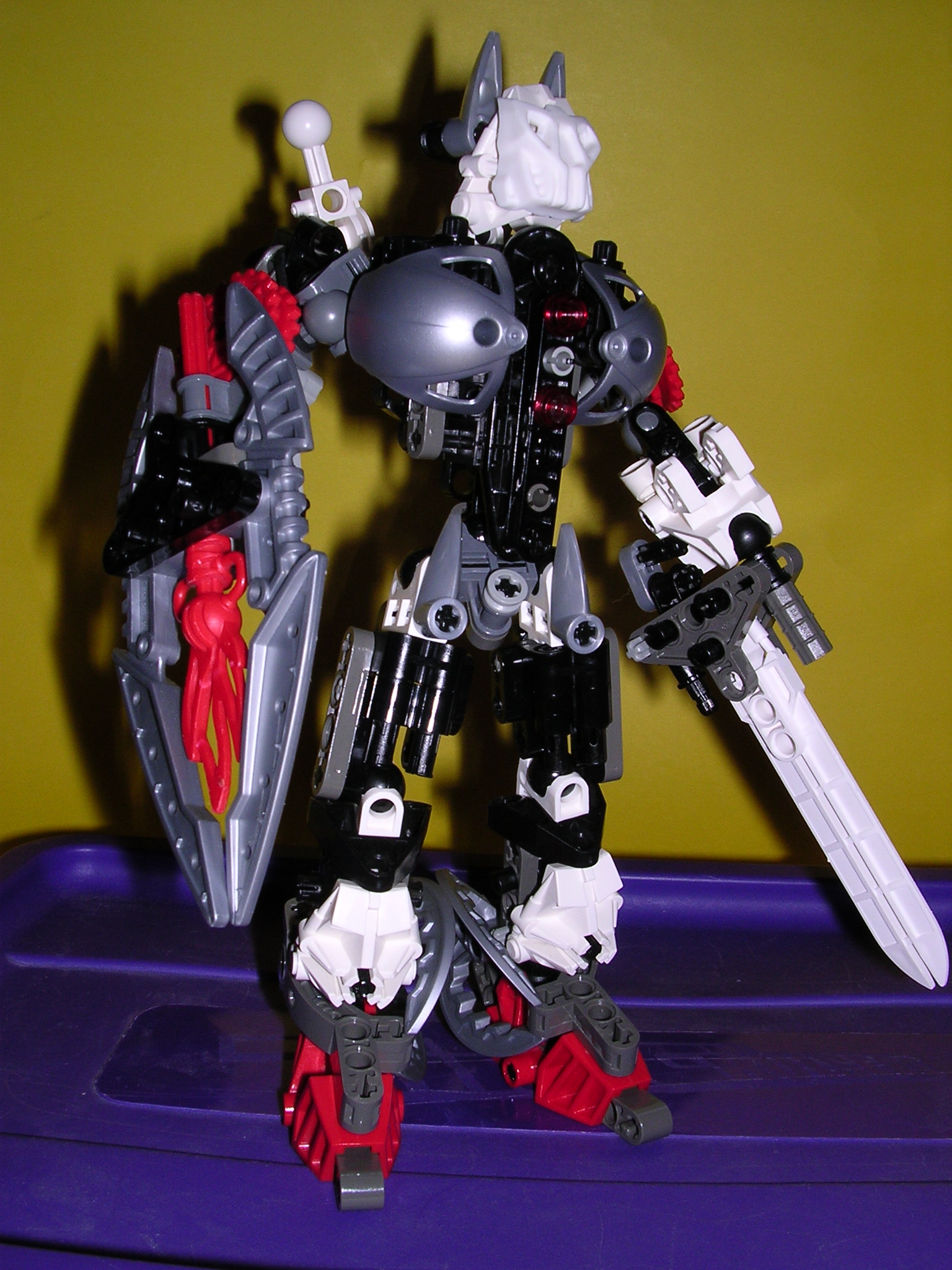 dscn0701.jpg