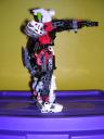 dscn0690.jpg