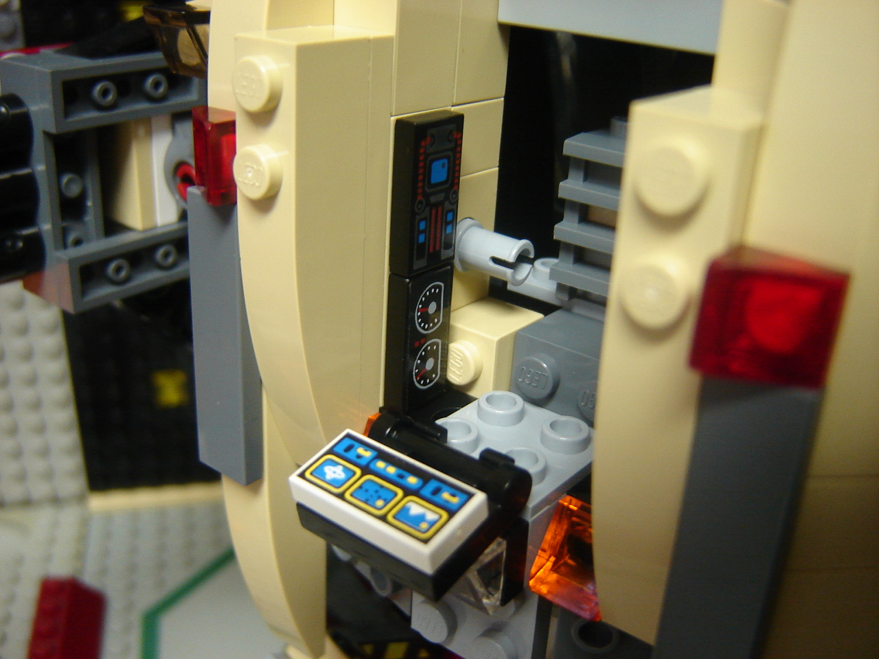 condor-03.jpg