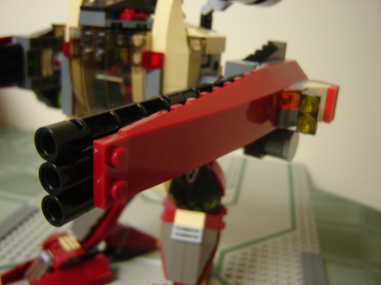 condor-07.jpg