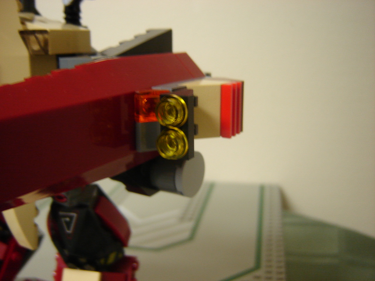 condor-08.jpg