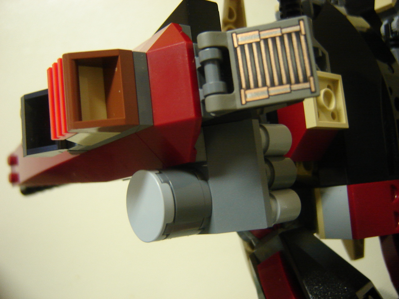 condor-09.jpg