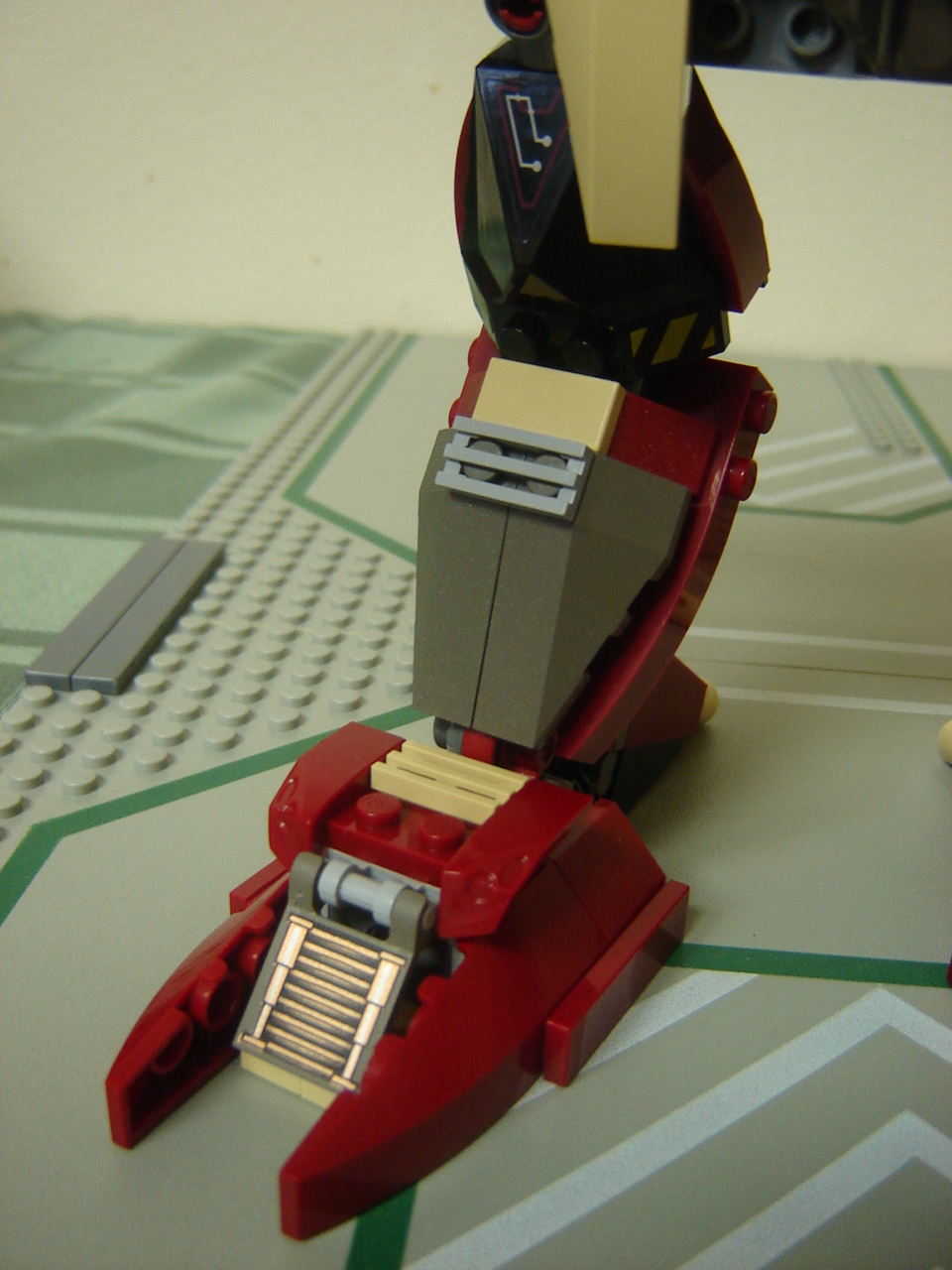 condor-11.jpg