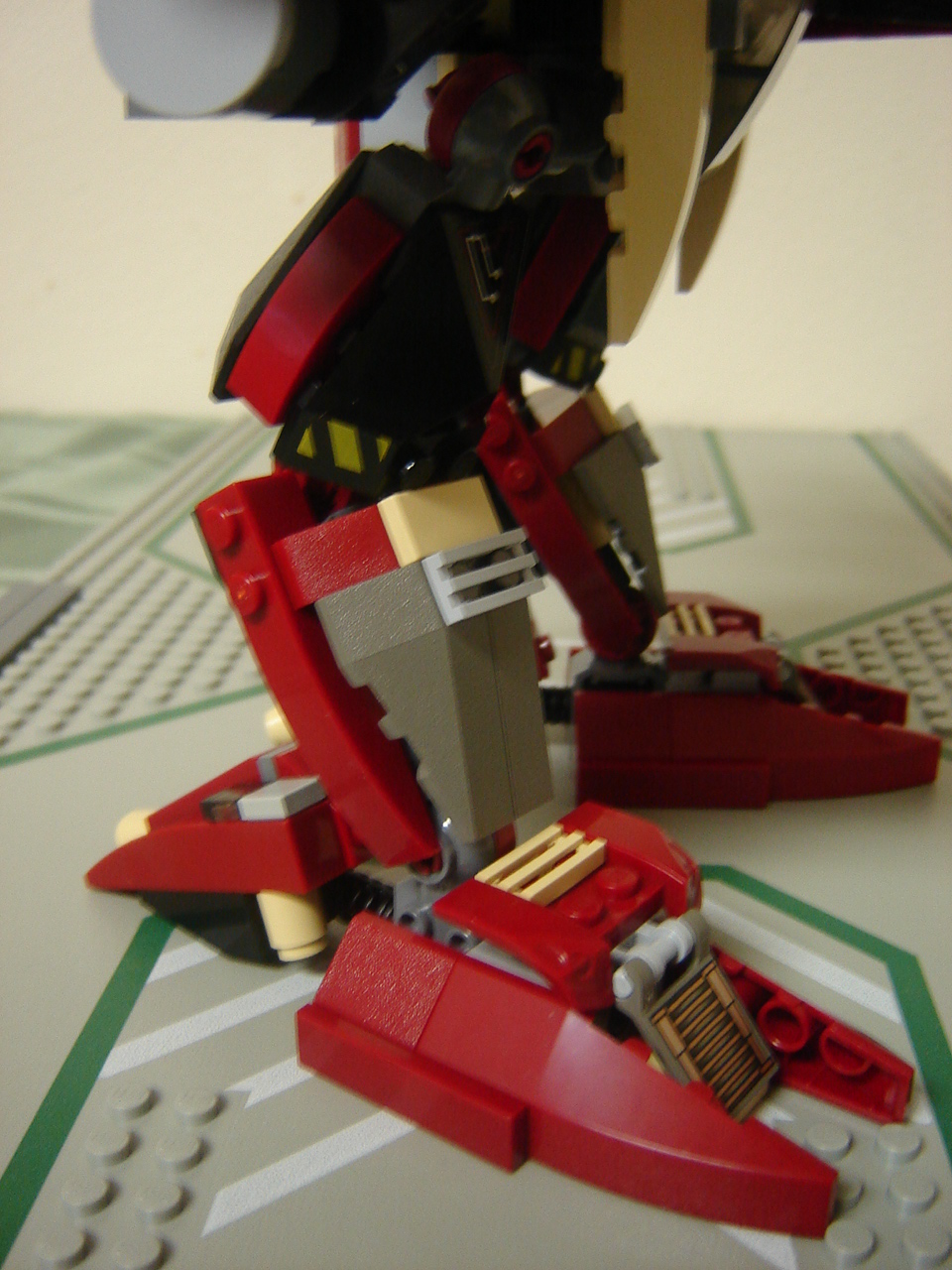 condor-12.jpg