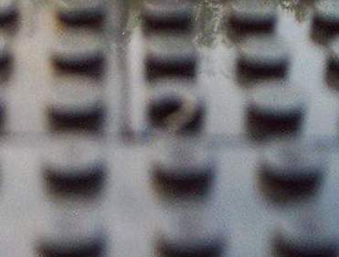 53103c22.jpg