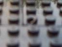 53103c22.jpg