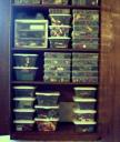 storage13.jpg