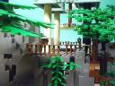 100803tre36.jpg