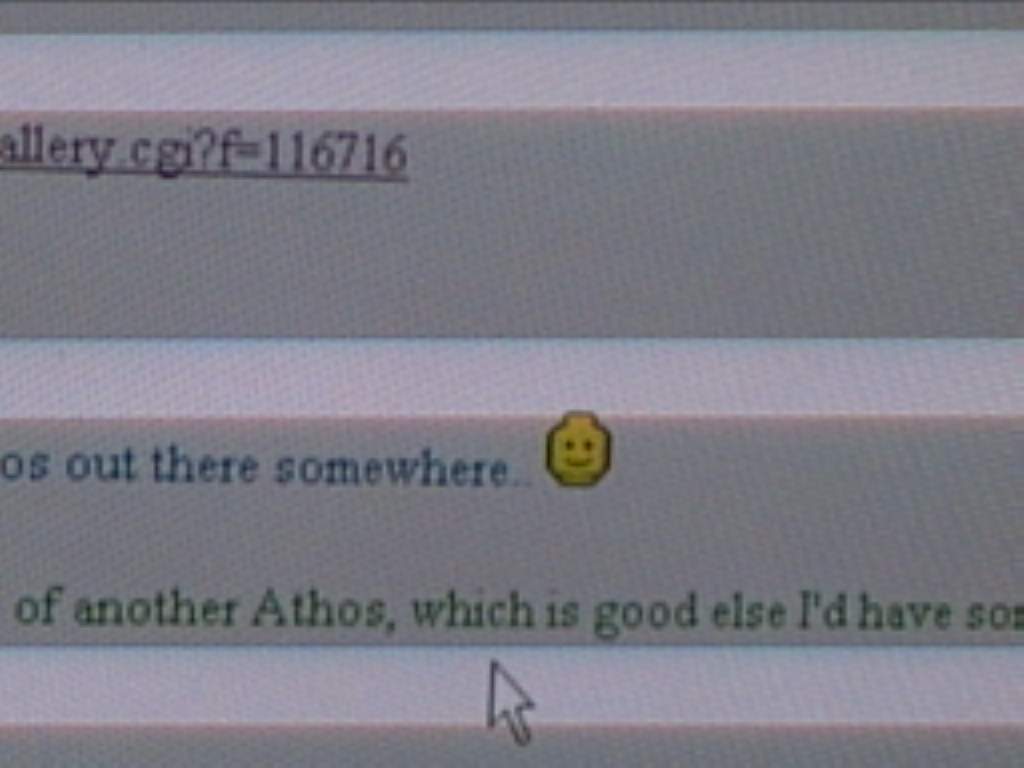 16mar11lb_9.jpg