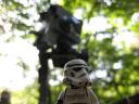 neu_endor_027.jpg