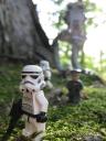 neu_endor_030.jpg