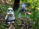 neu_endor_073.jpg
