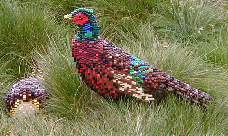 ll-03-pheasants.jpg