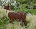 ll-04-oh_deer!.jpg
