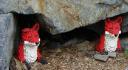 ll-05-foxy_lady.jpg