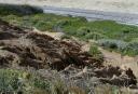 sun-03-strange_erosion.jpg