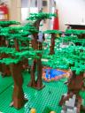 100_0346.jpg